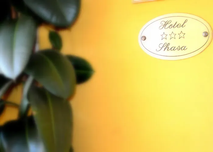 Hotel Shasa Roma